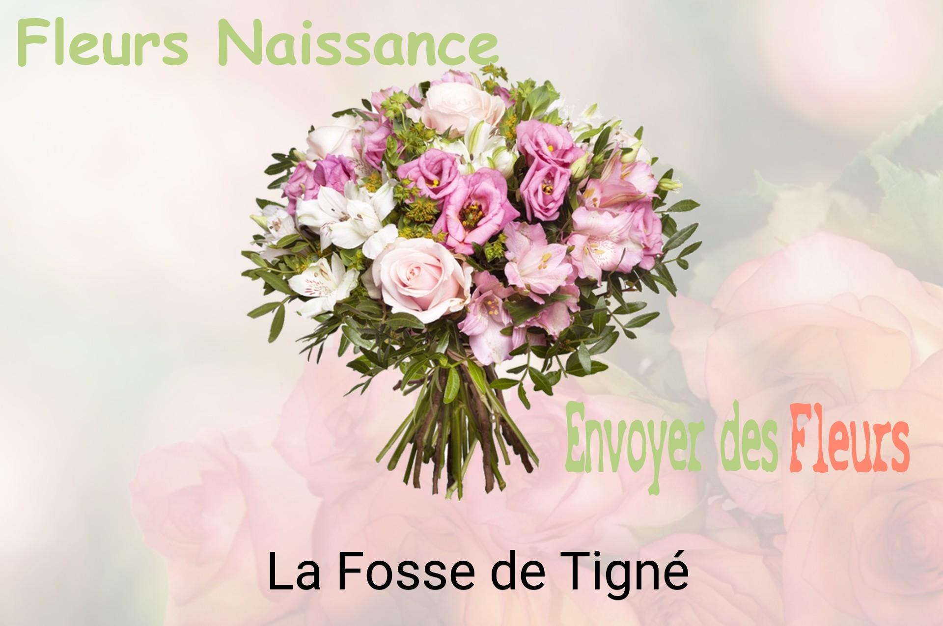 Bouquet de fleurs de naissance livré à La Fosse-de-Tigné